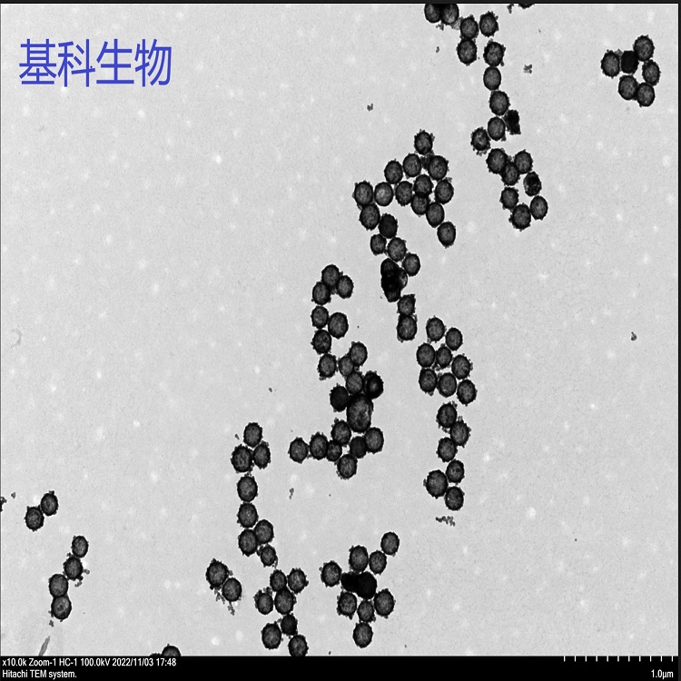 中空介孔氧化鈰(圖1)