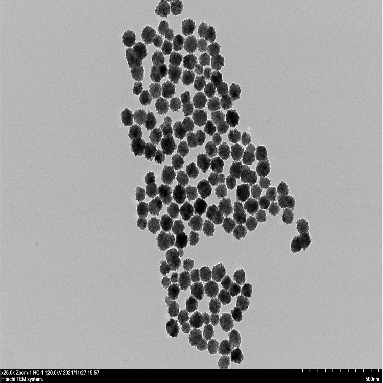 羧基磁珠（100nm-100um）可選