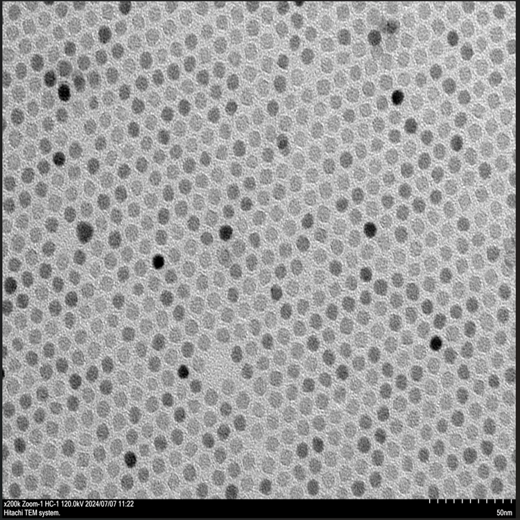 鏈霉親和素修飾磁性納米顆粒（5nm-50nm）可選
