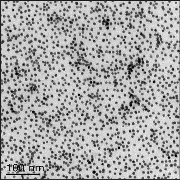 水溶性金納米顆粒（5-200nm）可選