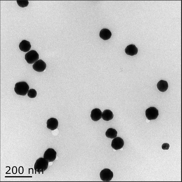 PEI修飾銀納米顆粒（5-300nm）可選